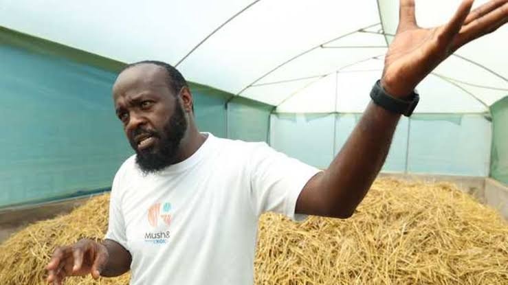 AI-Powered Smart Mushroom Farming Training Workshop
